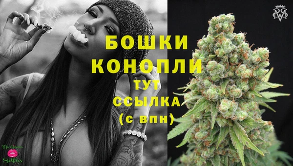 spice Пересвет
