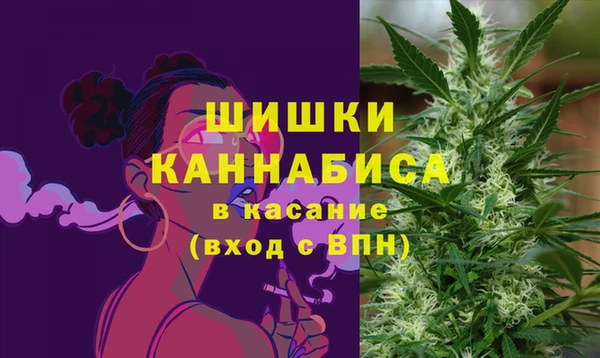 прущие грибы Покачи