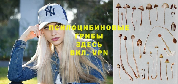 стафф Пестово