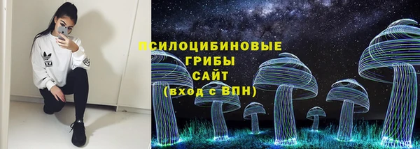 стафф Пестово