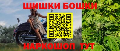 мдпв Камышлов