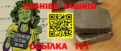 мдпв Камышлов