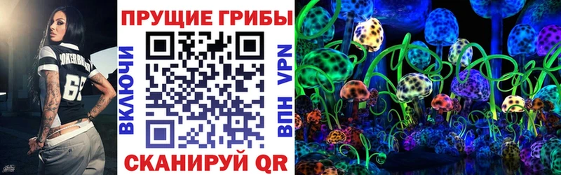 сайты даркнета телеграм  даркнет сайт  Советская Гавань  Псилоцибиновые грибы ЛСД 