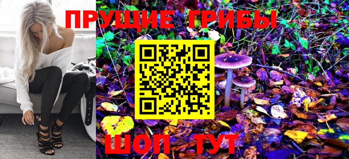 Галлюциногенные грибы MAGIC MUSHROOMS Советская Гавань