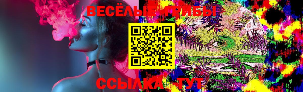 Псилоцибиновые грибы GOLDEN TEACHER Советская Гавань