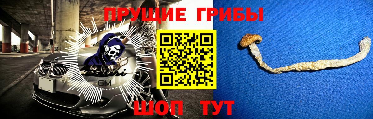 Советская Гавань  Галлюциногенные грибы Magic Shrooms  Вход с VPN 