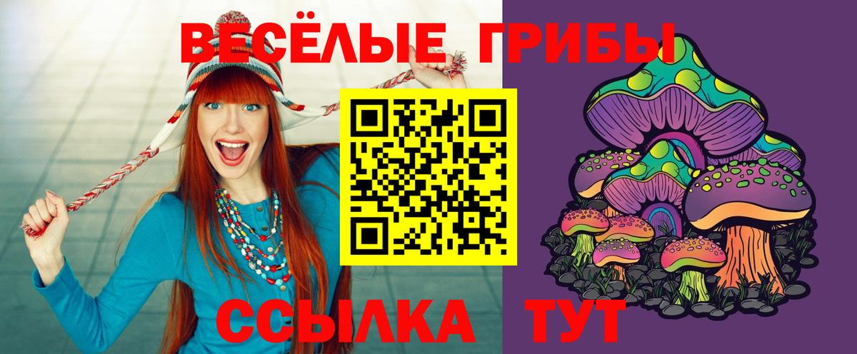 Псилоцибиновые грибы прущие грибы  Псилоцибиновые грибы Cubensis  Советская Гавань 