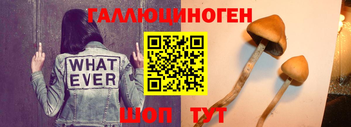 АМФЕТАМИН Советская Гавань